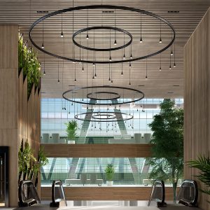 Skybell-Circle-Chandelier-11